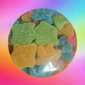 Starfish Shape Gummy