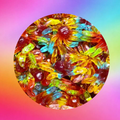 Gummy Octopus -100g